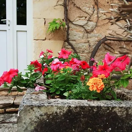 بيت للعطل Le Domaine De : Villiers (Vienne)